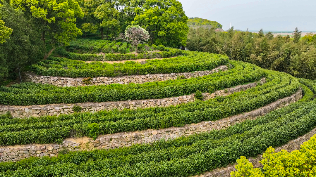 微信圖片_20250317134844.png 微信圖片_20250317134844.png