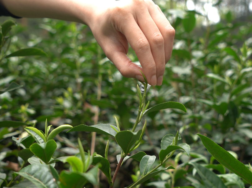 微信圖片_20250317134923.png 微信圖片_20250317134923.png